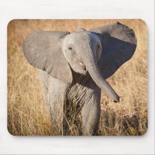 Alfombrilla De Ratón Joven elefante de sabana