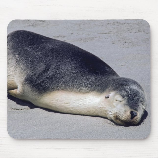 Alfombrilla De Ratón Joven foca durmiendo en la playa - Australia (Frente)