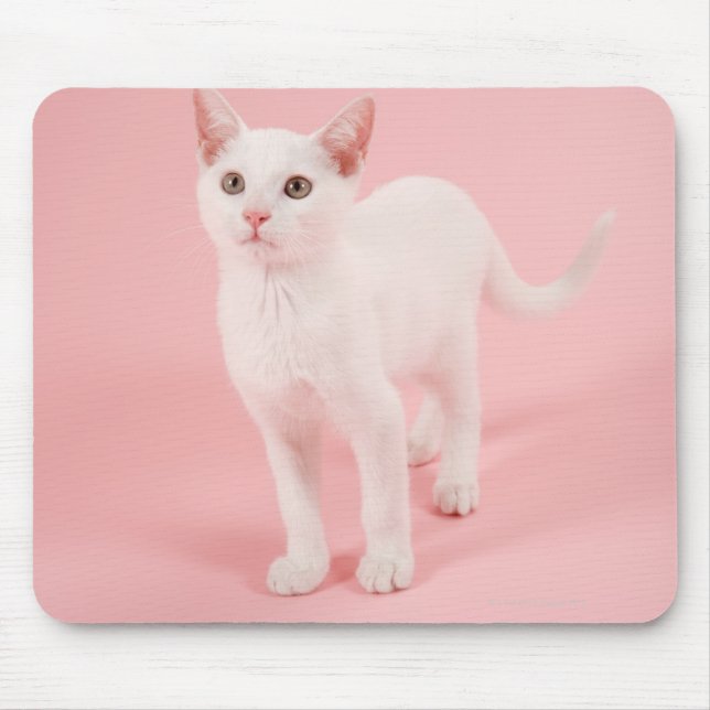Alfombrilla De Ratón Joven gato blanco 2 (Frente)