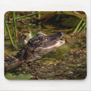 Alfombrilla De Ratón Joven lagarto