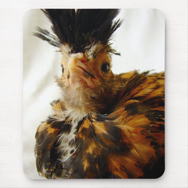 Alfombrilla De Ratón Joven polaco (Frente)