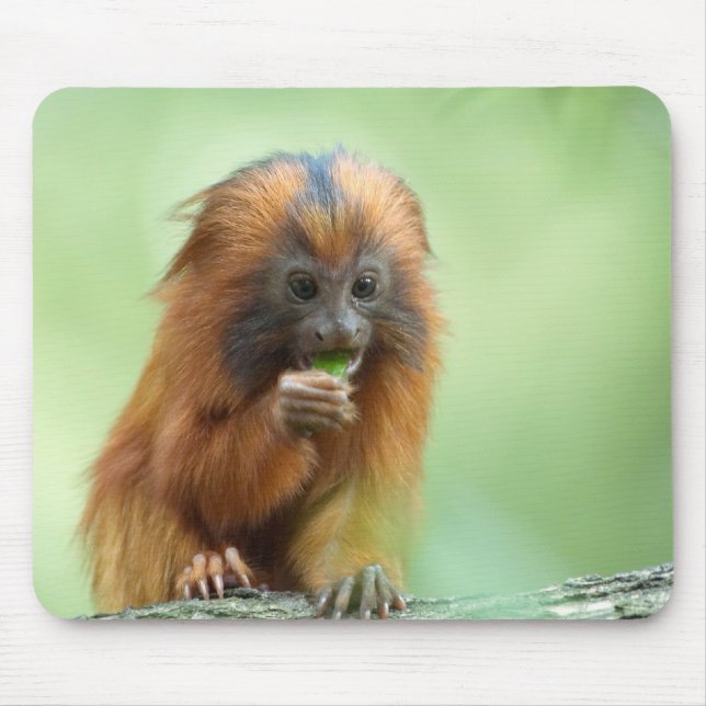 Alfombrilla De Ratón Joven principal de oro (Frente)