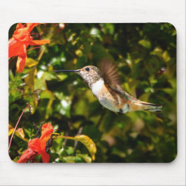 Alfombrilla De Ratón Joya de jardín: colibrí en flor