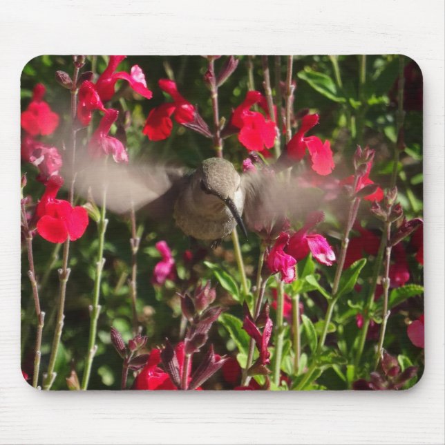 Alfombrilla De Ratón Joyful Hummingbird Mousepad (Frente)