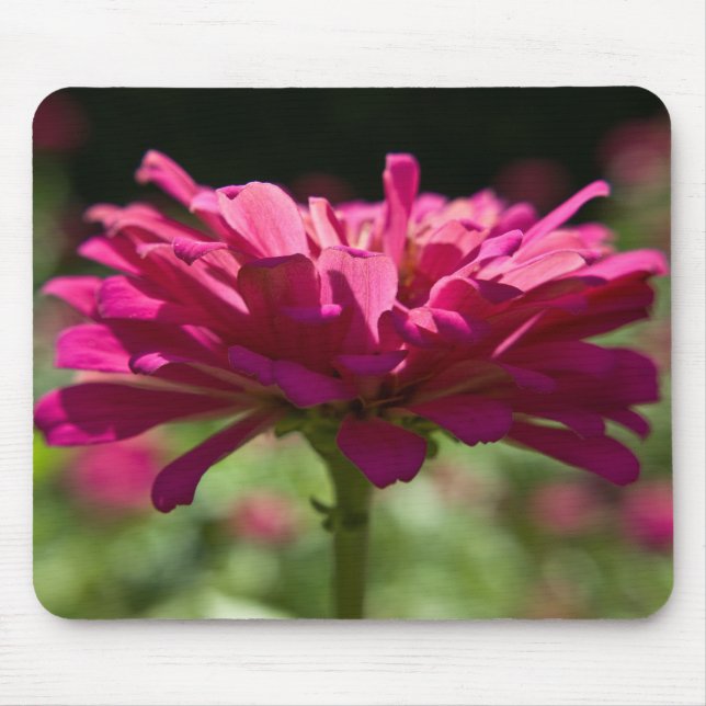 Alfombrilla De Ratón Joyful Zinnia (Frente)