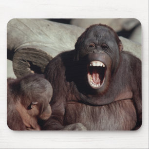 Alfombrilla De Ratón Juego de vida silvestre - Primates 1
