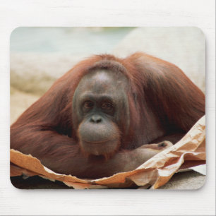 Alfombrilla De Ratón Juego de vida silvestre - Primates 7