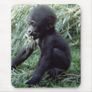 Alfombrilla De Ratón Juego de vida silvestre - Primates 8