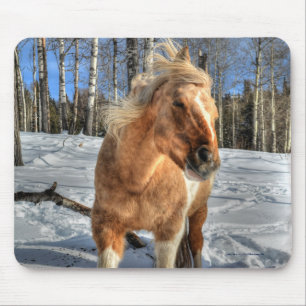 Alfombrilla De Ratón Jugoso caballo de Palomino Pinto y Nieve
