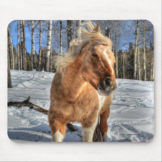 Alfombrilla De Ratón Jugoso caballo de Palomino Pinto y Nieve