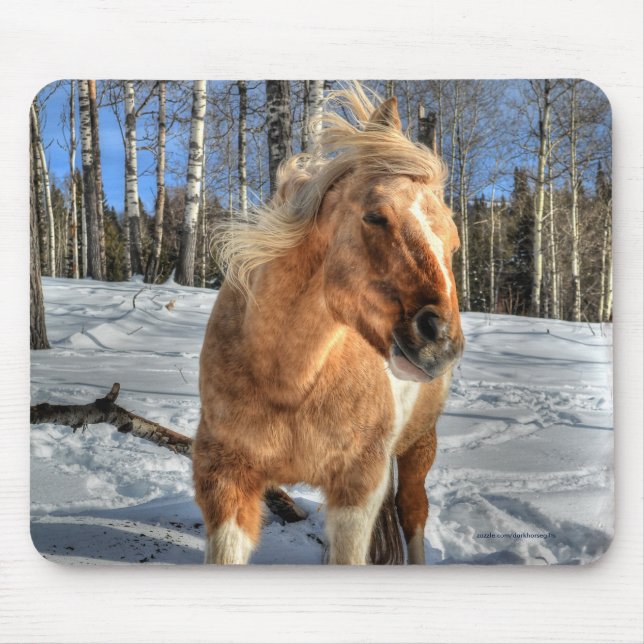 Alfombrilla De Ratón Jugoso caballo de Palomino Pinto y Nieve (Frente)