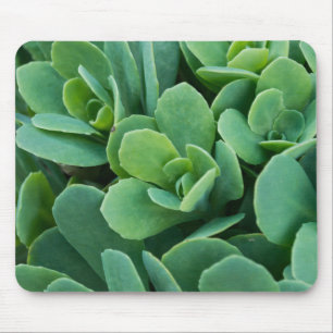 Alfombrilla De Ratón Just Sedum