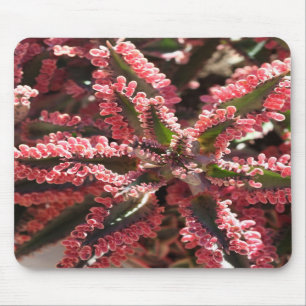 Alfombrilla De Ratón Kalanchoe "mariposa se va volando" el mousepad