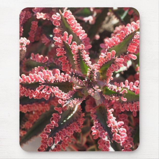 Alfombrilla De Ratón Kalanchoe "mariposa se va volando" el mousepad (Frente)