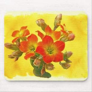 Alfombrilla De Ratón Kalanchoe Rojo - Suculento Sunshine