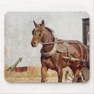 Alfombrilla De Ratón Kalona, Caballo Iowa Amish y Buggy