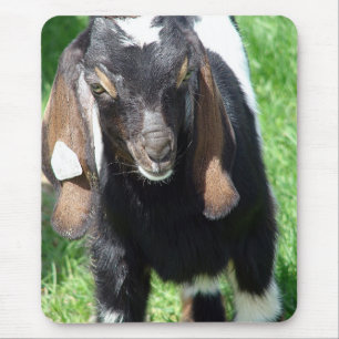 Alfombrilla De Ratón Kalvin