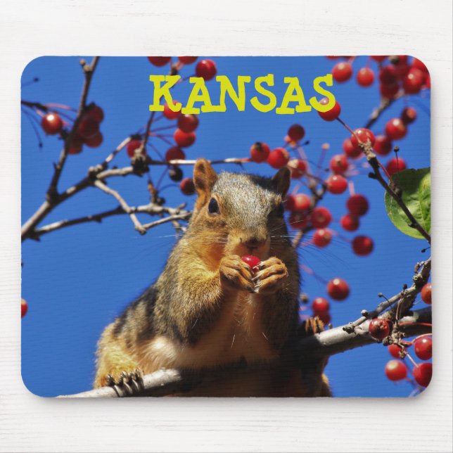 Alfombrilla De Ratón Kansas Fox Tail Squirrel Mouse PAD (Frente)