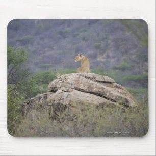 Alfombrilla De Ratón Kenia, reserva de naturaleza de Samburu, león