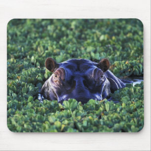 Alfombrilla De Ratón Kenia, Reserva Nacional Masai Mara.