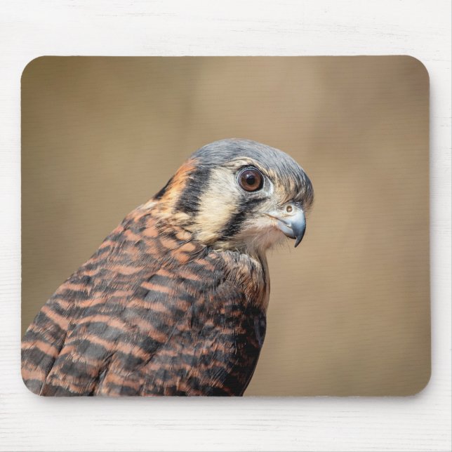 Alfombrilla De Ratón Kestrel americano (Frente)