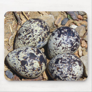 Alfombrilla De Ratón KillDeer Nest con huevos