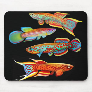 Alfombrilla De Ratón Killifish colorido Mousepad