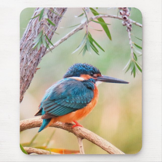 Alfombrilla De Ratón Kingfisher Perched on Branch (Frente)