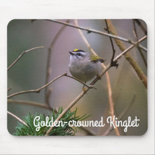 Alfombrilla De Ratón Kinglet