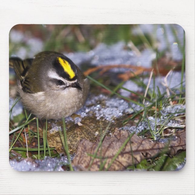 Alfombrilla De Ratón Kinglet Mousepad (Frente)