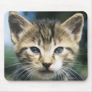 Alfombrilla De Ratón Kitten al aire libre