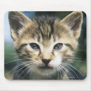 Alfombrilla De Ratón Kitten al aire libre