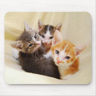 Alfombrilla De Ratón Kitten Trio Mousepad