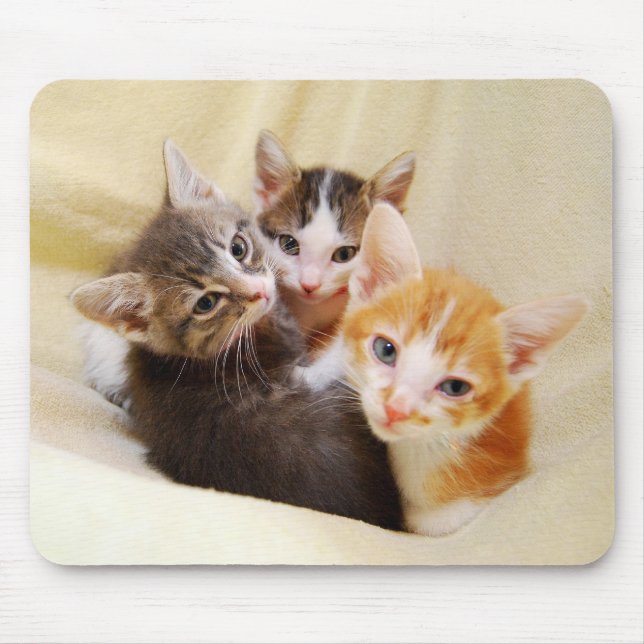 Alfombrilla De Ratón Kitten Trio Mousepad (Frente)