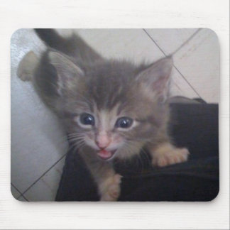 Alfombrilla De Ratón kittty