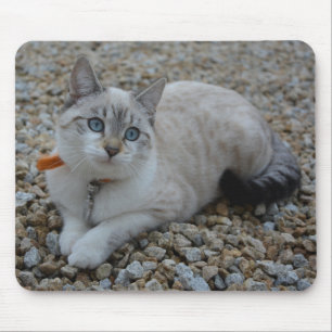 Alfombrilla De Ratón Kitty