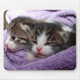 ALFOMBRILLA DE RATÓN KITTY CAT