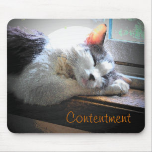 Alfombrilla De Ratón Kitty durmiente por contenido