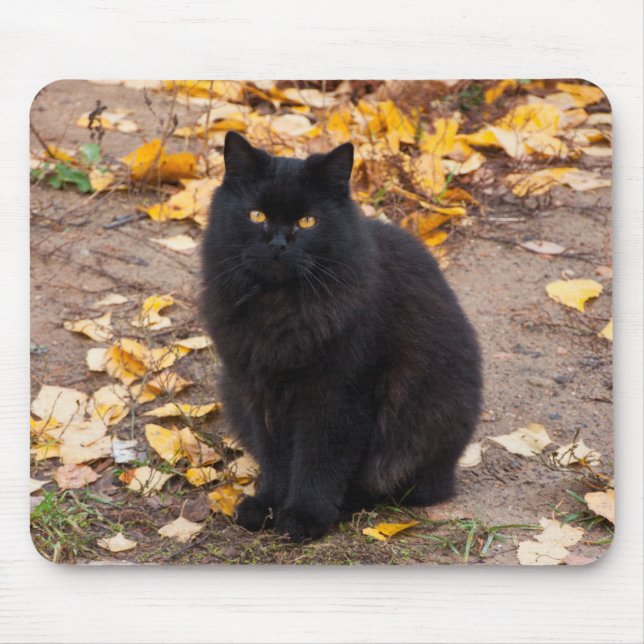 Alfombrilla De Ratón Kitty negro fluido y hojas de otoño (Frente)