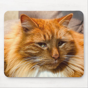 Alfombrilla De Ratón Kitty Nemo Mousepad especial
