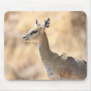 Alfombrilla De Ratón Klipspringer antelope