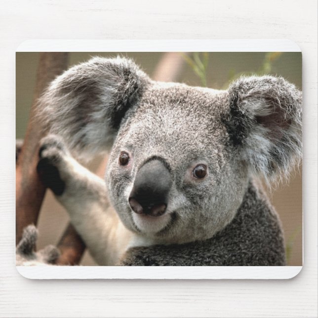 Alfombrilla De Ratón Koala (Frente)