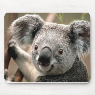 Alfombrilla De Ratón Koala