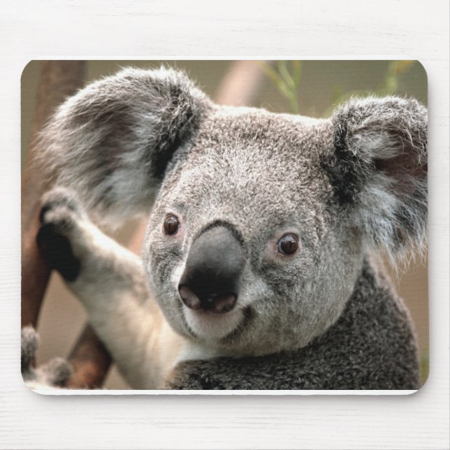 Alfombrilla De Ratón Koala (Frente)