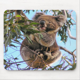 Alfombrilla De Ratón Koala Australia Mousepad