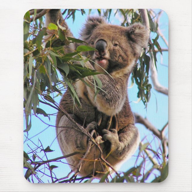 Alfombrilla De Ratón Koala Australia Mousepad (Frente)