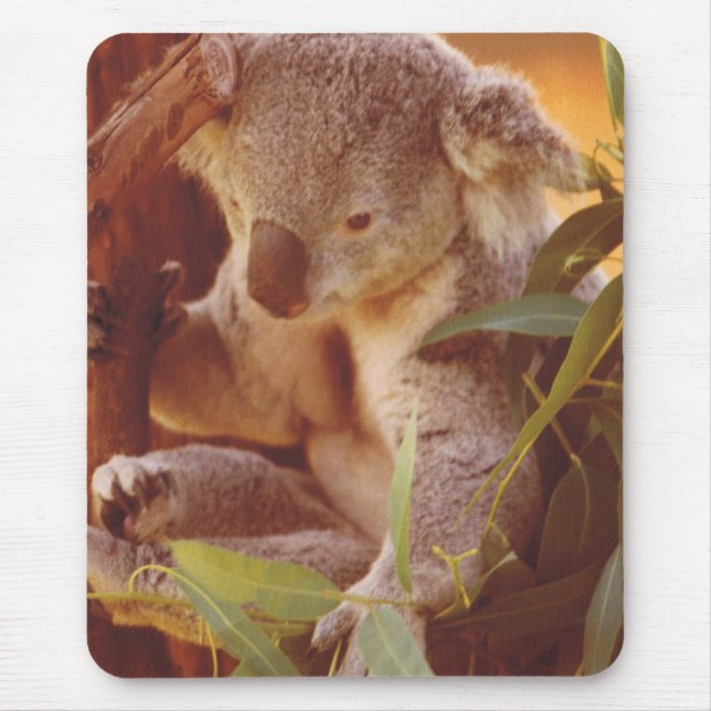 Alfombrilla De Ratón Koala Bear Love (Frente)