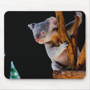 Alfombrilla De Ratón Koala Cute en gris árbol