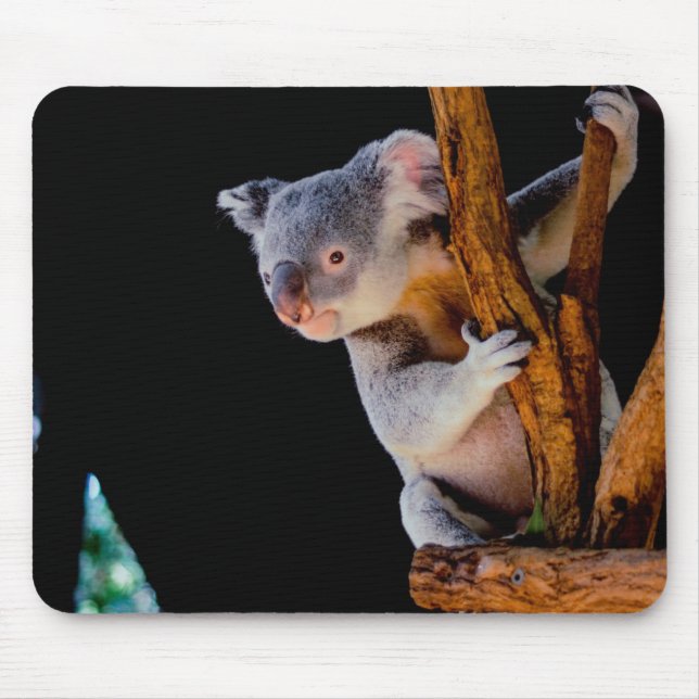 Alfombrilla De Ratón Koala Cute en gris árbol (Frente)