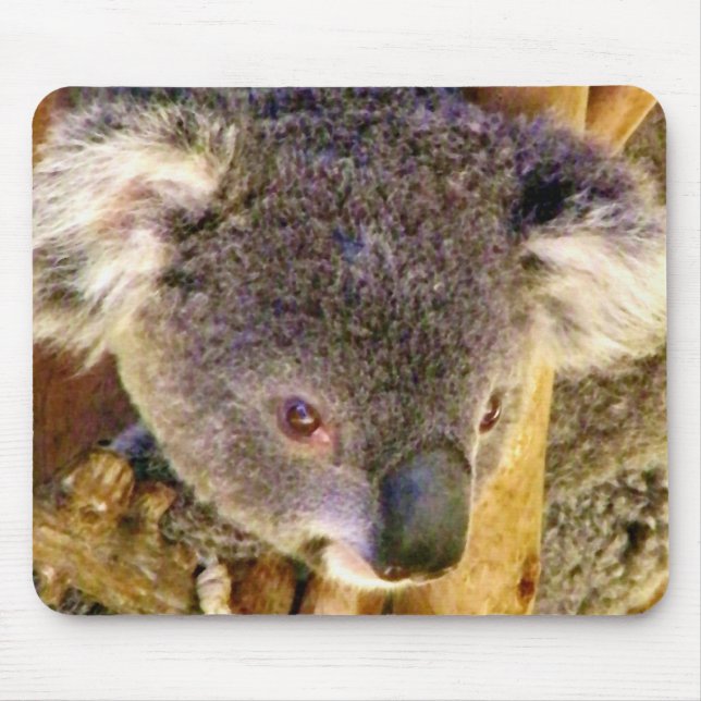 Alfombrilla De Ratón Koala Love_ (Frente)